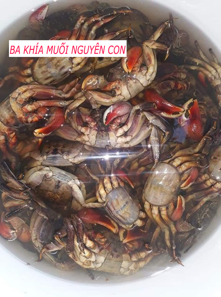 Ba khía muối nguyên con